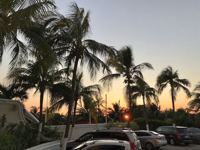 オーシャン ビュー アパートメンツ