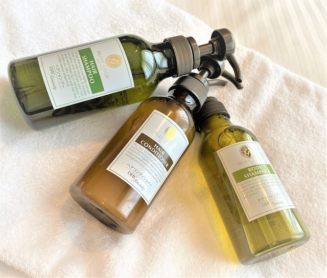 アートホテル盛岡