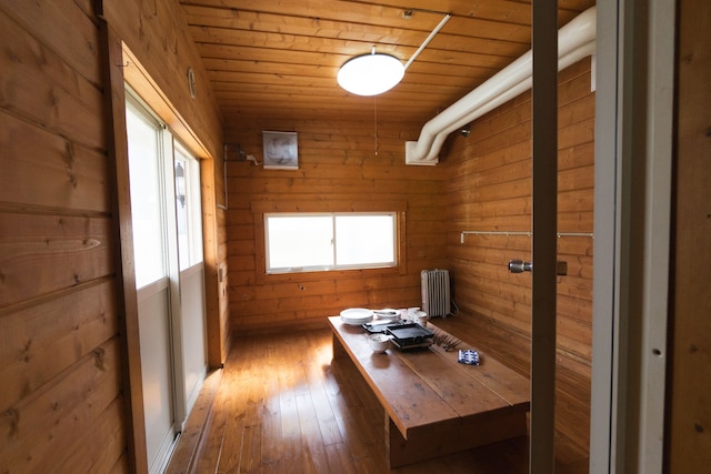 さくらガーデン