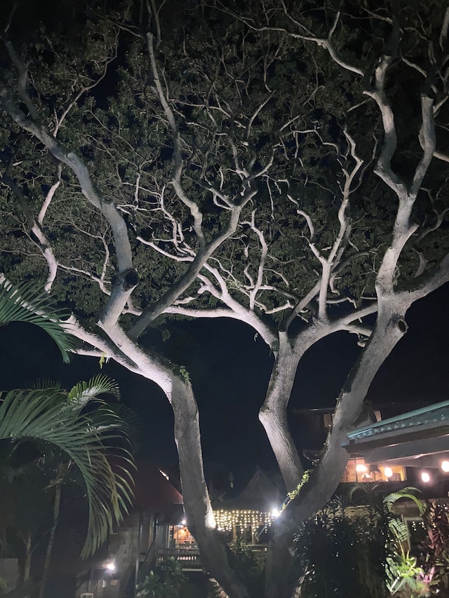 ハレ マルハイア カントリー イン