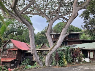ハレ マルハイア カントリー イン
