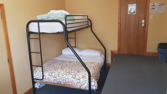 ワイルド ゼブラ バックパッカーズ