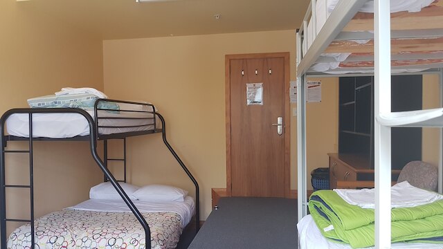 ワイルド ゼブラ バックパッカーズ