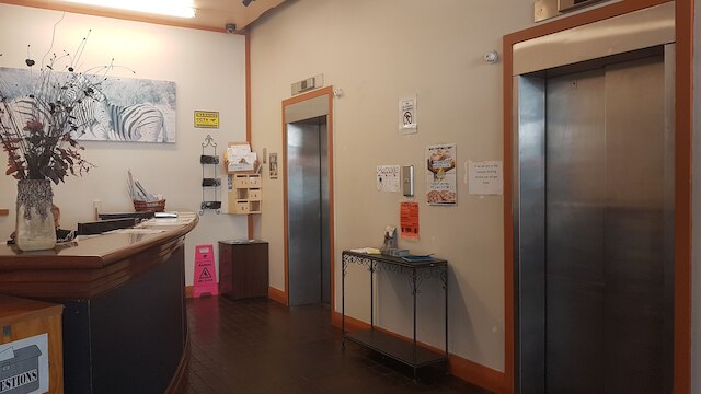 ワイルド ゼブラ バックパッカーズ