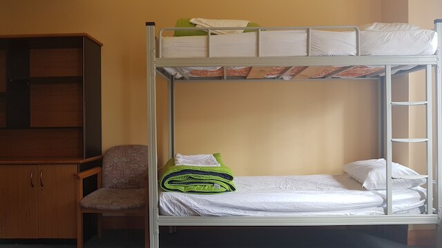 ワイルド ゼブラ バックパッカーズ