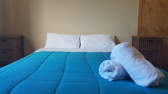 ワイルド ゼブラ バックパッカーズ