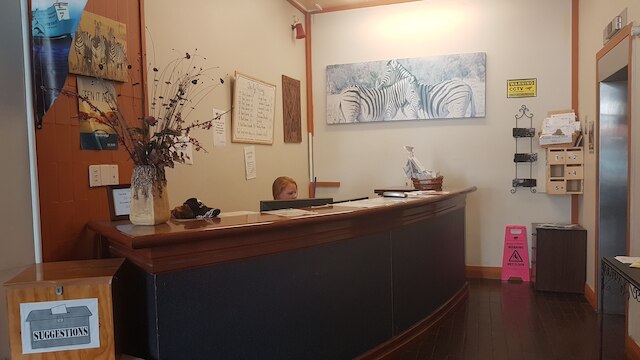 ワイルド ゼブラ バックパッカーズ