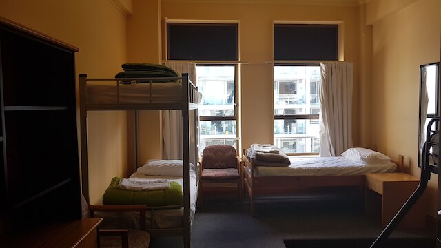 ワイルド ゼブラ バックパッカーズ