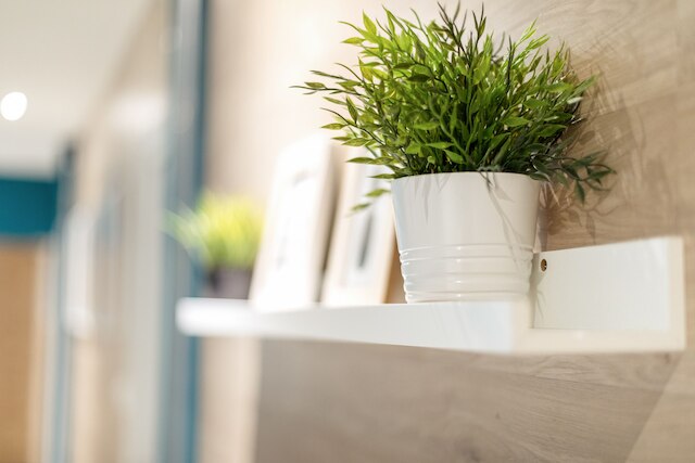 ナイス ホーム - ステュディオ リド