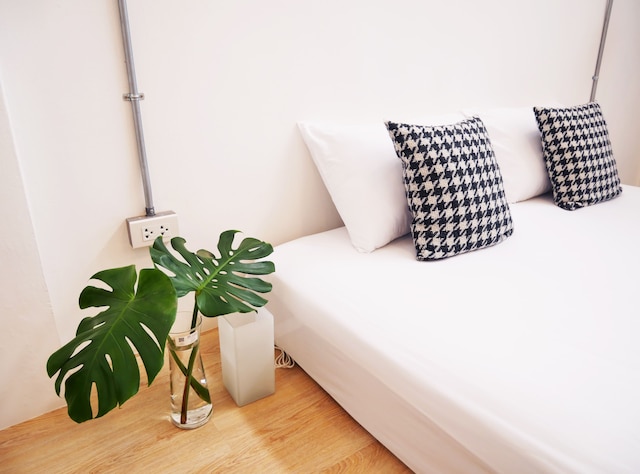 ザ コンパニオン - ホステル