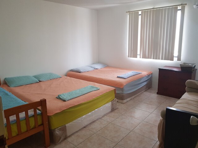 ビッグ ファミリー ハウス