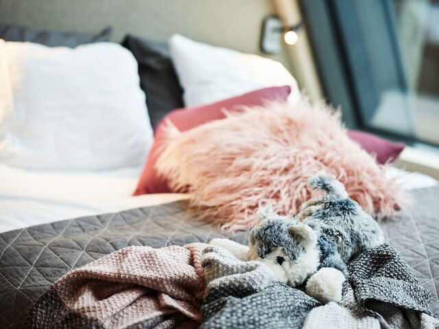 ノヴァ スカイランド ホテル