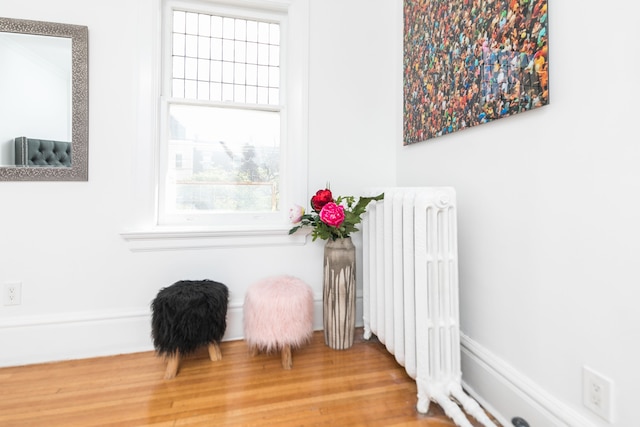 アップルウッド スイーツ - バサースト & カレッジ