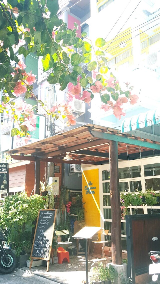 ザ コモンルーム CNX