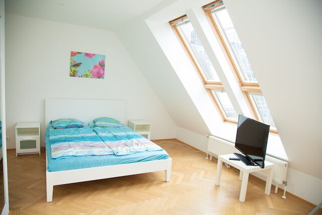 ウィーン ホットスポット - ミュージアム