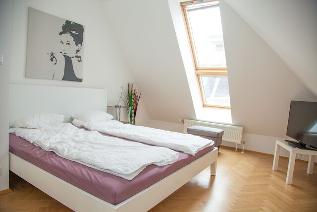 ウィーン ホットスポット - ミュージアム