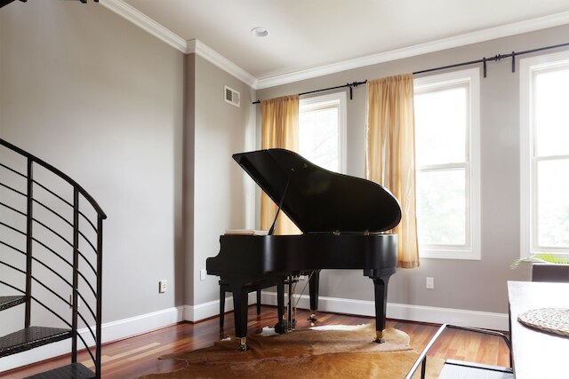 アメージング DC ホーム ウィズ ルーフトップ デッキ