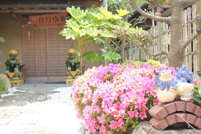 沖縄民宿かりゆし本館