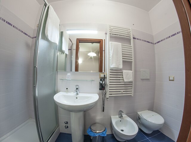 ドムス トリアーニ