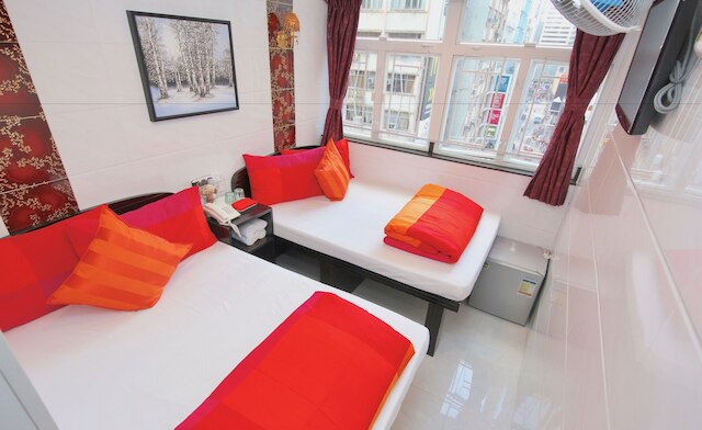 D レッド ロフト