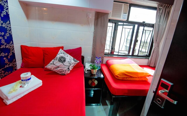 D レッド ロフト