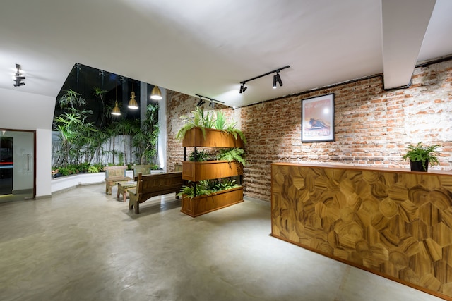 ファーン コロンボ