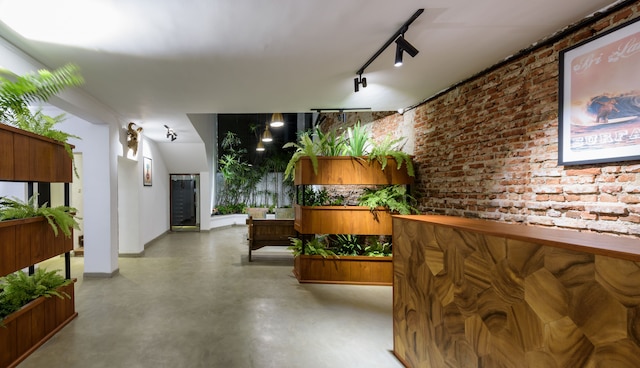 ファーン コロンボ