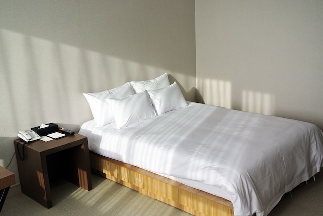 チェジュ ノーブレッセ ツーリスト ホテル