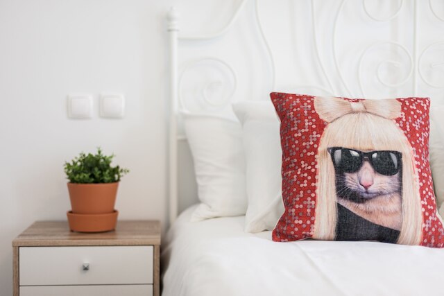 カーサ ダ バローカ: デザイン ロフト イン バイロ アルト