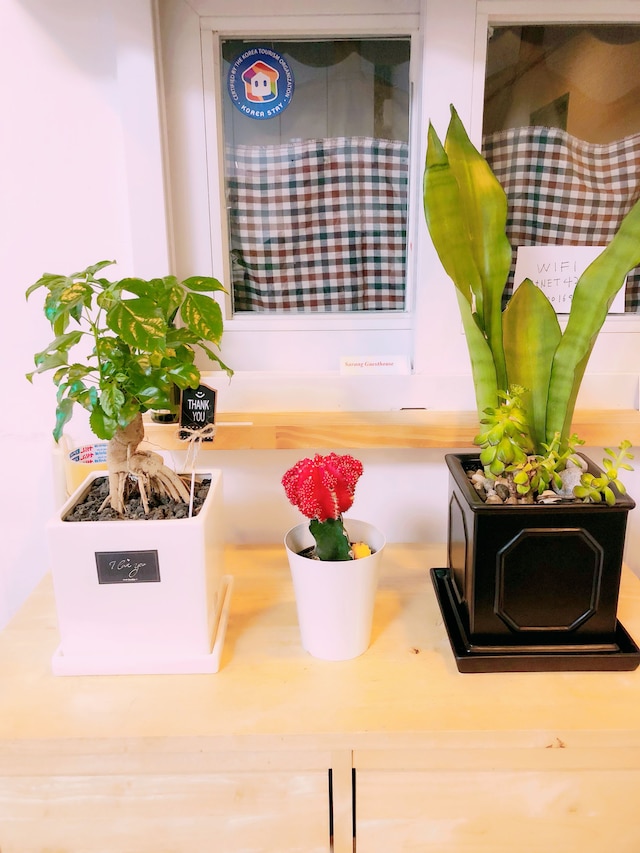 サラン ゲストハウス 東大門