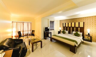 トリーボ パラダイス