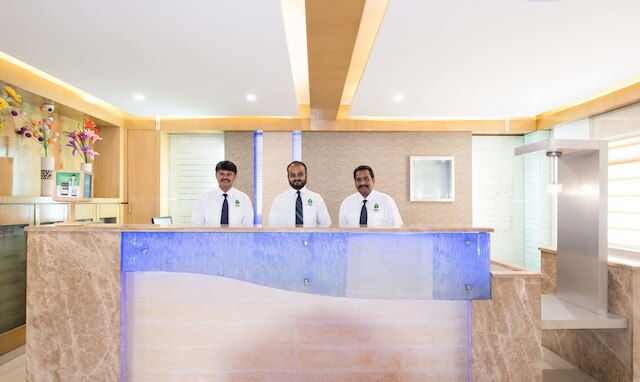 トリーボ パラダイス