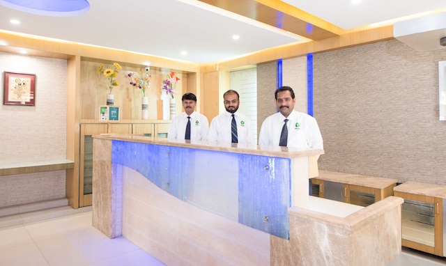 トリーボ パラダイス