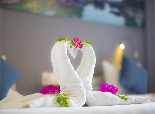 ホイアン メモリティ ホテル & スパ