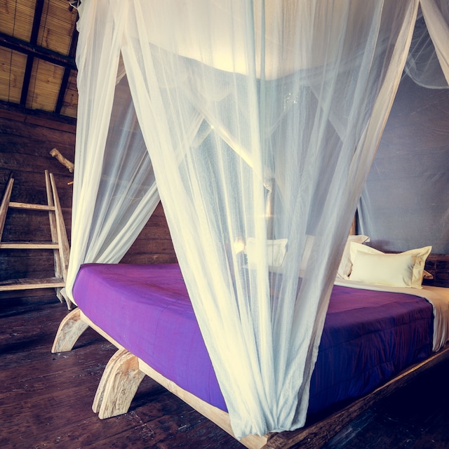 ドラゴンフライ ヴィレッジ