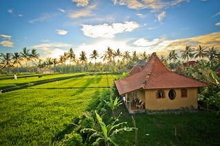 ドラゴンフライ ヴィレッジ