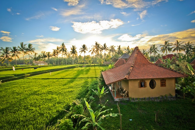 ドラゴンフライ ヴィレッジ