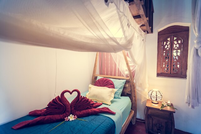 ドラゴンフライ ヴィレッジ