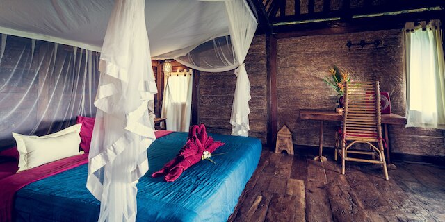 ドラゴンフライ ヴィレッジ