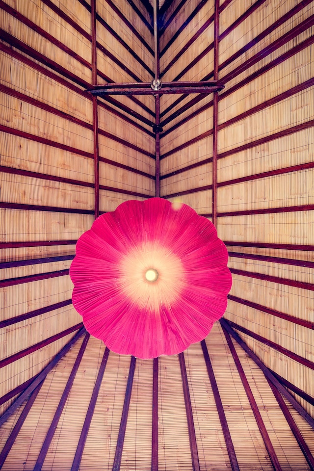 ドラゴンフライ ヴィレッジ