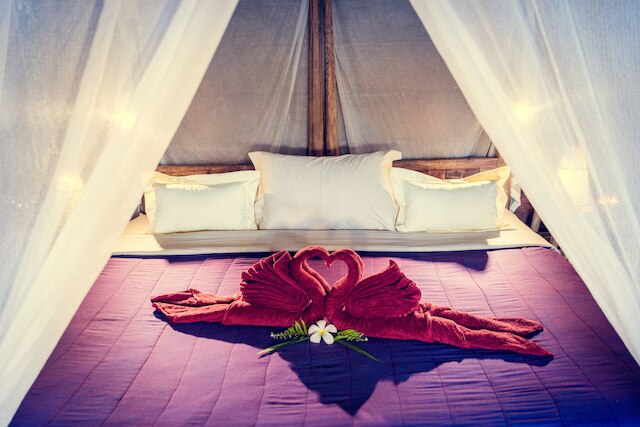 ドラゴンフライ ヴィレッジ