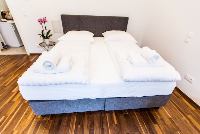 コージー 2 ベッドルーム アパートメント