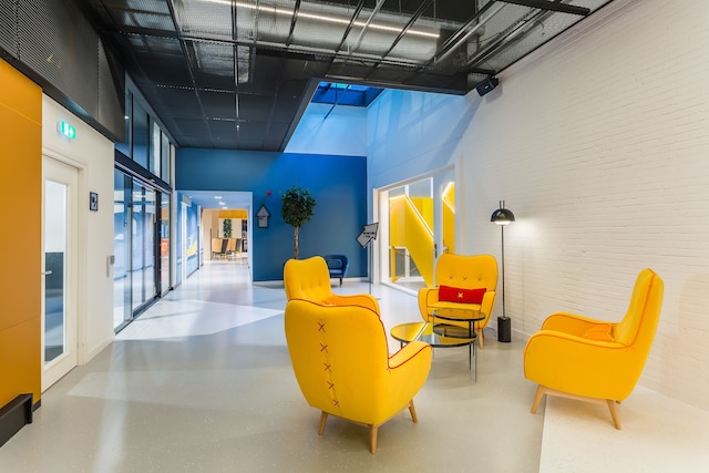 ルーム メイト ブルーノ、ロッテルダム