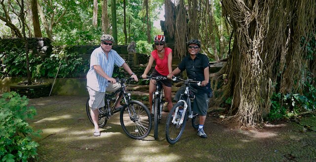 ザ マニプラ ラグジュアリー エステート & スパ 730SQM リビング エリア 20M インフィニティ プール