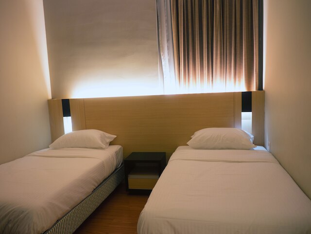 ウォーレス P ステイケーション