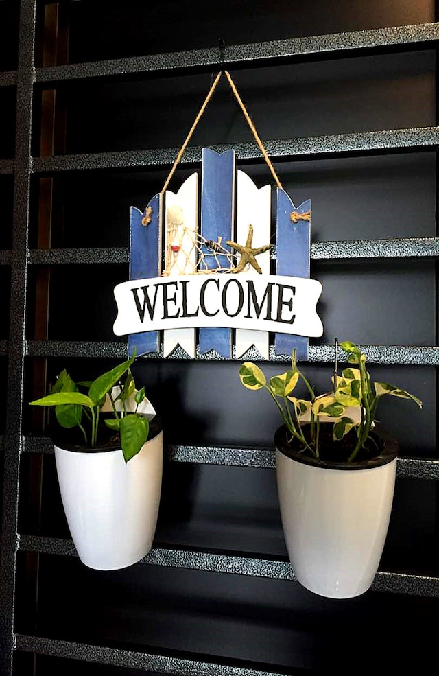 パラジオ セイリング シームド ホリデイ ホームステイ