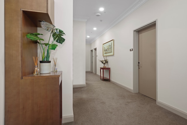 クラレンドン ホテル メルボルン