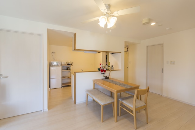 Snowball Condominium