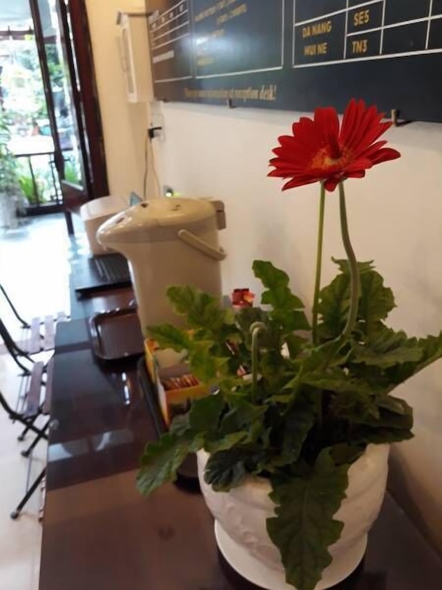 ニ トゥルン ホテル