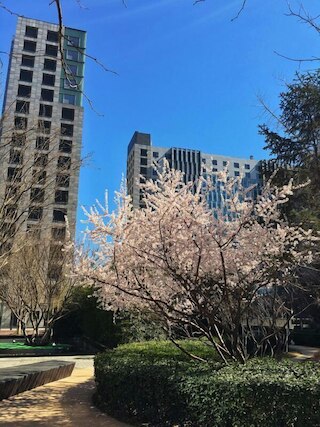 北京イレジア アパートメント